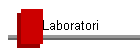 Laboratori